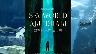 Oseanarium terbesar di dunia, SeaWorld Abu Dhabi, telah resmi dibuka.