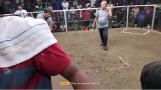 Second fight