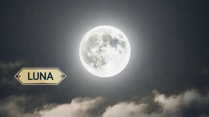 Meet Luna #Foryourpage #Shorts #Moon #Bimztheonechannel