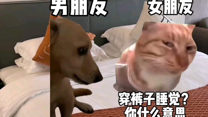 Bạn trai mặc quần đi ngủ, rốt cuộc là sợ lạnh hay sợ mình vậy!?