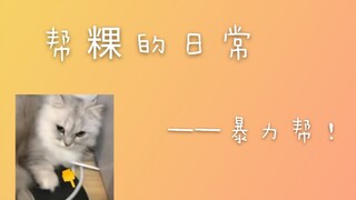 【帮帮白粿】帮粿日常小故事5——粿粿每天都跟在我的PP后面～（发出土橘猫的声音）