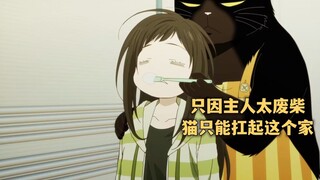 七月新番:当猫懂得感恩,那就没有铲屎官什么事了