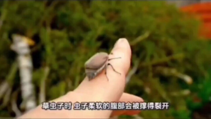 By the time I realized what she was saying, it was already too late.