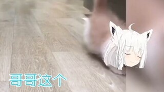 Tự truyện của một chú mèo 2