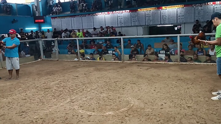 Pasig Square entry name: Kopido 3fight win