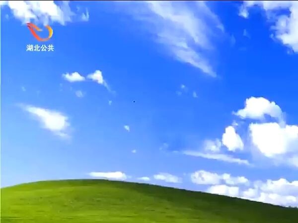 Hồi tưởng kinh điển: Con chim chín đầu thông minh