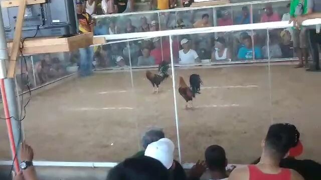 #shariff warrion , for the 3x loss😔 in binAlan cockpit, but its ok slamat sa iyong kakayanan,,