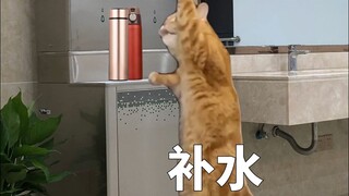 سأجعل المدير يعرف أن الرخيص لا يأتي جيدًا!