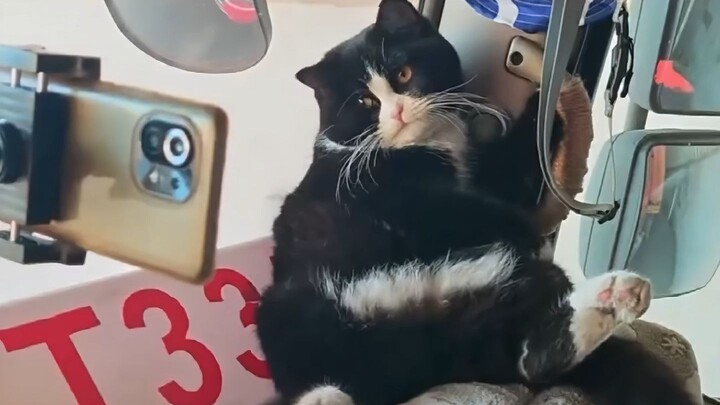 Profil Tokoh Internet Episode 76: Niu Niu Mao Jiaozi