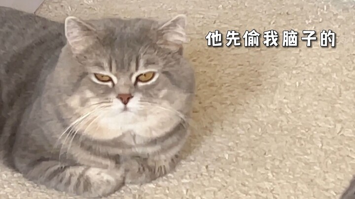 นอนหลับ แต่ทิ้งน้ำลายใสแจ๋วไว้