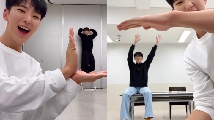 Miniature Dino and Wonwoo! Brothers happily playing with the tiger