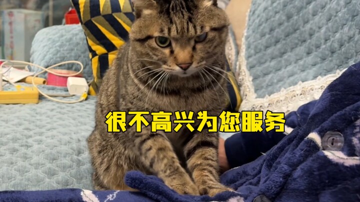 When my dad found out the kitten was giving me a daily massage, he was so jealous that he forcibly g