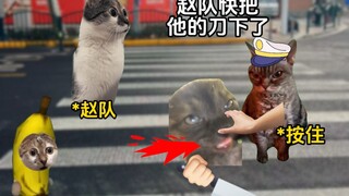 Tôi một cảnh sát giao thông làm công việc điều tra hình sự ư?