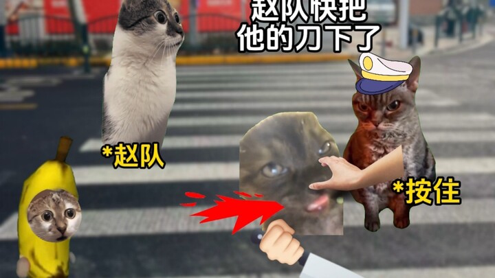 Am I, a traffic cop, doing criminal investigation work?