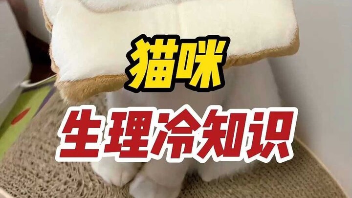 8 Fun Facts About Cats—The Last One Broke Me…