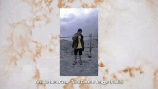 Andika BuncAzca - Tuku Cocote Tonggo (Official Audio)