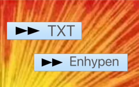 【TXT】【 Enhypen 】 File matches some points in the stage performance that I think are cute, interestin