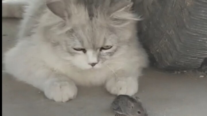 “I can go without food, but you’re not getting away.”