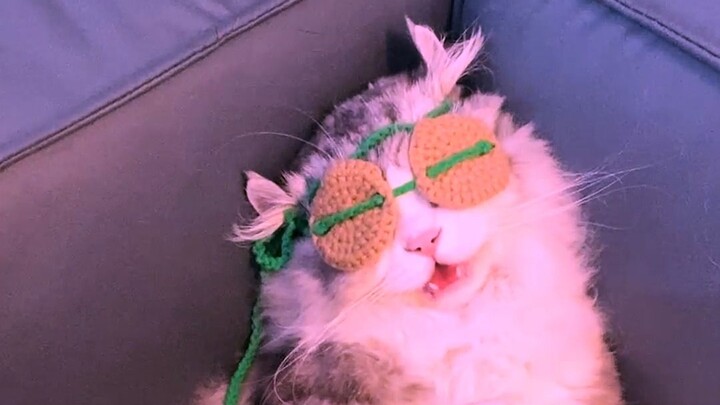 Trước khi xem video này, nhất định phải vặn nhỏ âm lượng!!