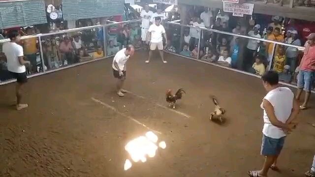 3rd Fight 3 WINS competition result 🏆