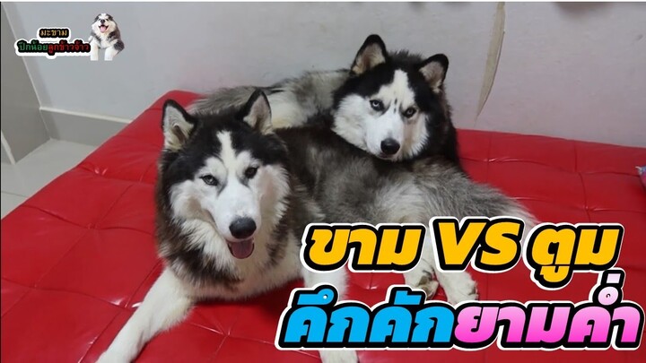 ไม่รู้พี่จะคึกอะไรกันเบอร์นั้น| มะขาม ปึกน้อย ลูกข้าวจ้าว EP. 327