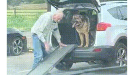 Chủ đã già, không còn bế nổi cún nữa; cún cũng già rồi, chẳng nhảy lên xe được nữa.