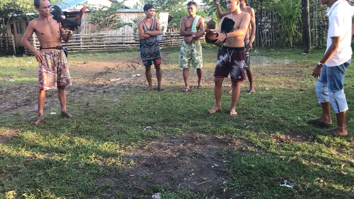 Win Pula VS Mayahin💪🏻