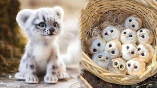 น่ารักมาก! Cutest baby animals Videos Compilation Cute moment of the Animals - Cutest Animals 4