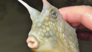 Catch and eat fresh seafood