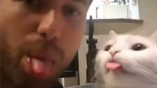 Cat: Isn’t it just rap? No one can say the same thing!