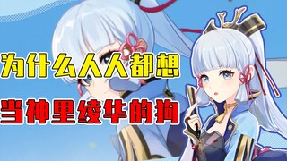 Kenapa semua orang di Genshin Impact ingin jadi anjingnya Kamisato Ayaka? Dia imut banget dan kayak 
