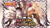 NATURO|【Phối lại】Nhạc nền Naturo-Chim Xanh