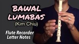 BAWAL LUMABAS  - Kim Chiu (Flute Recorder Cover Letter Notes / Chords Tutorial)