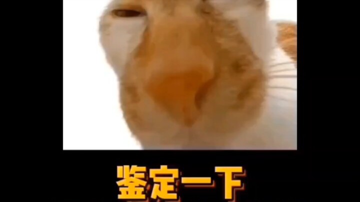 好不容易等到的谷子，当然要拿来整活！