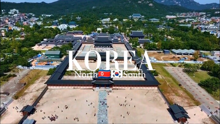 KOREA!🇰🇷🇰🇵🐦