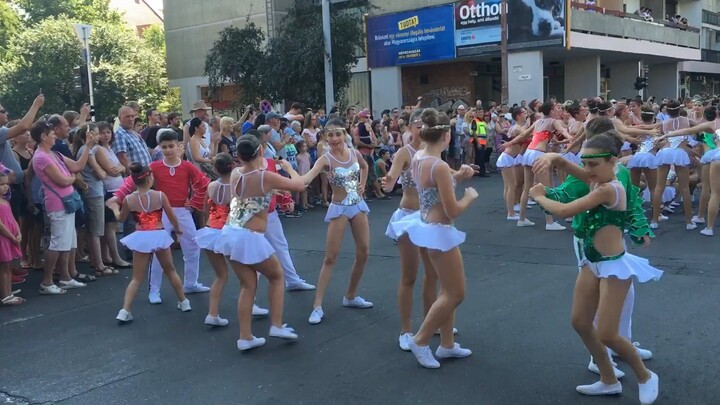 Lễ hội Hoa Kenguru