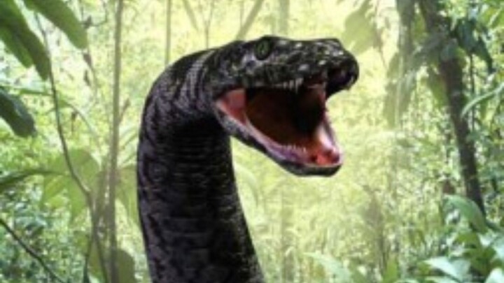 Welcome to the swamp X Welcome to your last breath 2026 FULL MOVIE with ENGSUB #fyp