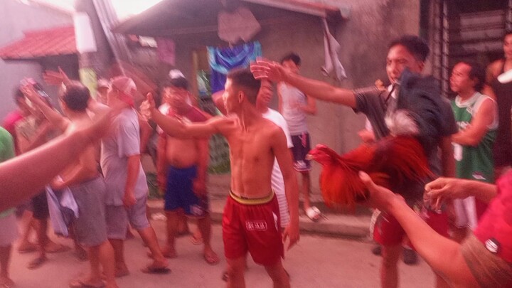 laban ng mga tagalogin