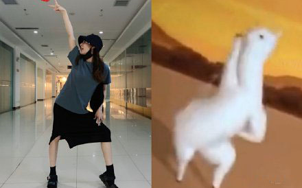 迪丽热巴沙雕合集