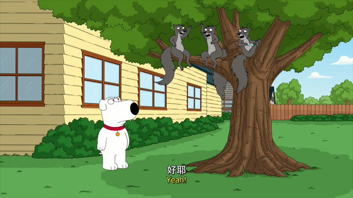 The moments of conversation between the animals in Family Guy are worth watching.