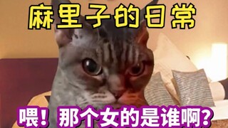 【熟肉】暴露了自己跟麻里子打Apex给老婆的客 | 猫meme