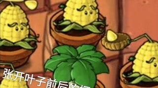 Một khám phá tình cờ (