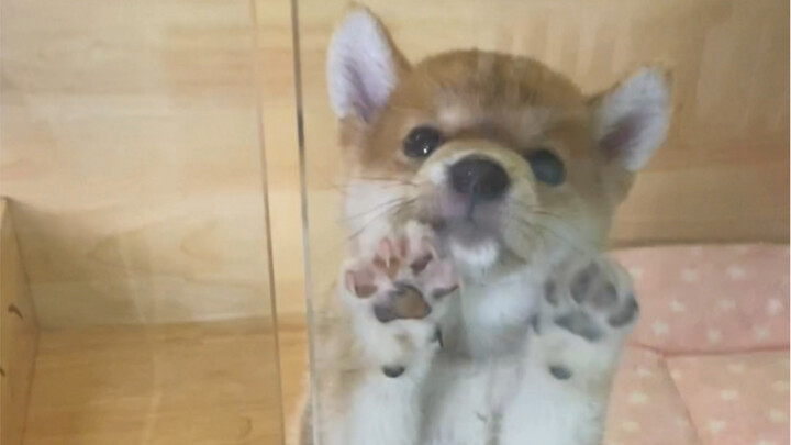 Preventive Dining Starts with Pre-Meal Etiquette Training