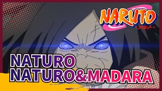 NATURO|Chúng ta còn chẳng cùng chung đội, Madara