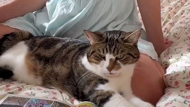 Gusto niyo din ba maging pusa
