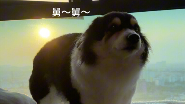 Shaking so refreshingly and vividly!