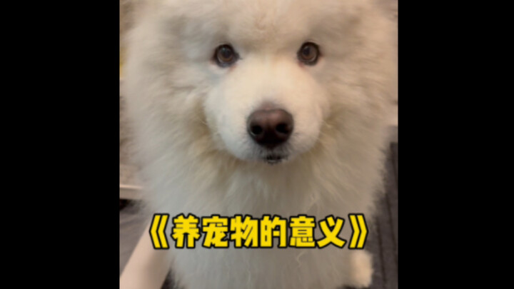 ตัวฉันที่แสนเล็กน้อย กลับเป็นทั้งโลกของเจ้าตูบเลยนะ