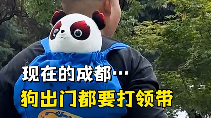 No wonder it’s Chengdu! It truly deserves to be the “center of attention” on sheer merit!