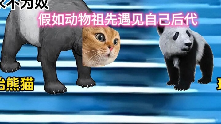 If animal ancestors met their descendants