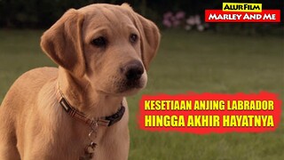 Kisah Kesetiaan Anjing Labrador Hingga Akhir Hayatnya | Alur Cerita Film MARLEY & ME (2008)